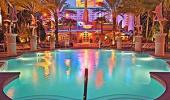 Flamingo Las Vegas Hotel Swimming Pool Flamingo Las Vegas Hotel Swimming Pool