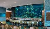 Golden Nugget Hotel and Casino Bar Golden Nugget Hotel and Casino Bar