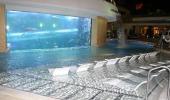Golden Nugget Hotel and Casino Fish Tank Golden Nugget Hotel and Casino Fish Tank
