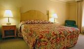 Texas Station Gambling Hall and Hotel Guest King Texas Station Gambling Hall and Hotel Guest King