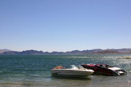 FishFinders Lake Mead Fishing Tours