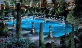 Bellagio Hotel Swimming Pool