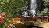 Encore at Wynn Las Vegas Hotel Waterfall