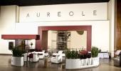 Mandalay Bay Resort And Casino Hotel Aureole Restaurant