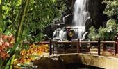 Wynn Las Vegas Hotel Waterfall